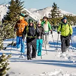 Scharfegger's Raxalpenhof - Zuhause Am Land