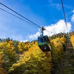 Hotel Scharfegger's Raxalpenhof - Zuhause Am Land