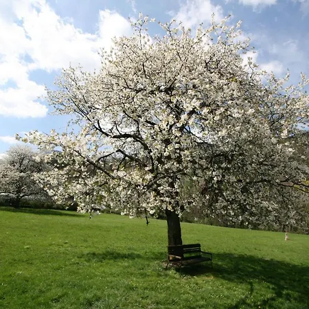 Scharfegger's Raxalpenhof - Zuhause Am Land Hotel Reichenau an der Rax