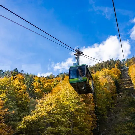 ホテル Scharfegger's Raxalpenhof - Zuhause Am Land
