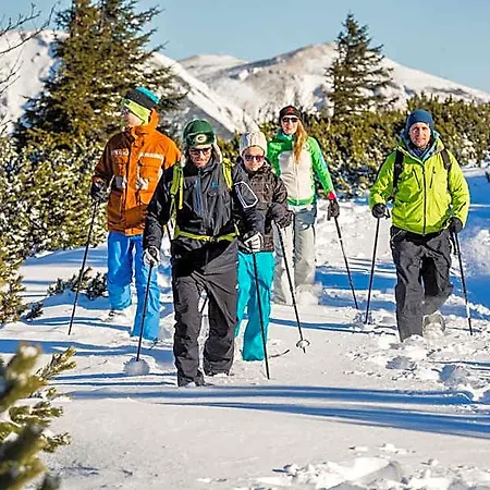 Scharfegger's Raxalpenhof - Zuhause Am Land 4* Reichenau an der Rax