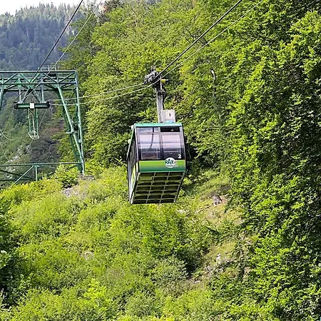Scharfegger's Raxalpenhof - Zuhause Am Land 4* Reichenau an der Rax