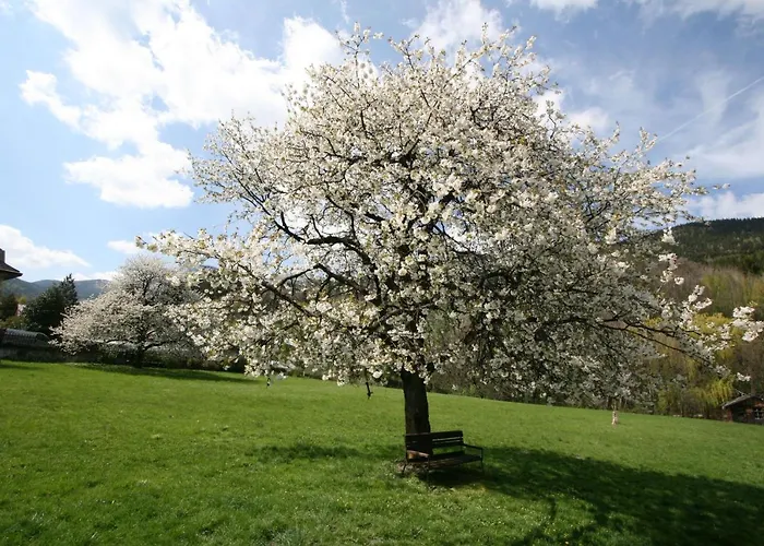 Scharfegger's Raxalpenhof - Zuhause Am Land ホテル ライヒェナウ