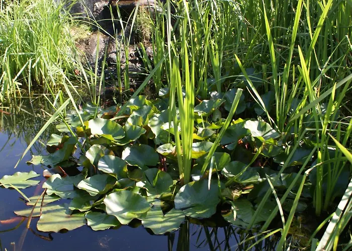 Scharfegger's Raxalpenhof - Zuhause Am Land ホテル