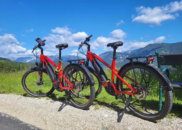 Scharfegger's Raxalpenhof - Zuhause Am Land ホテル ライヒェナウ