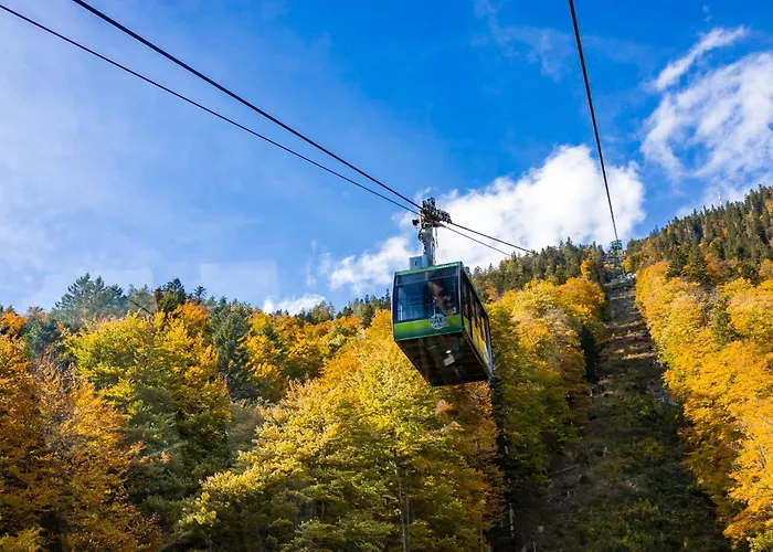 ホテル Scharfegger's Raxalpenhof - Zuhause Am Land